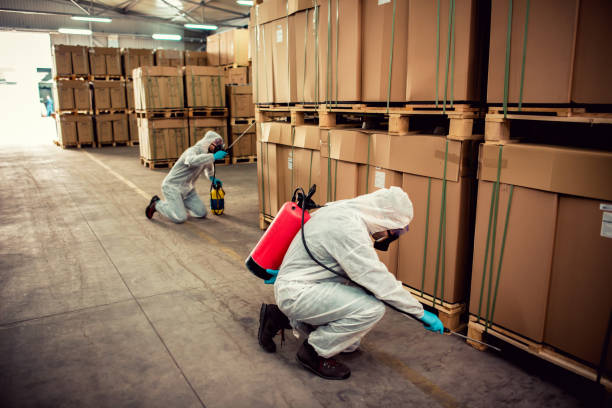 Best Affordable Exterminators  in Trion, GA