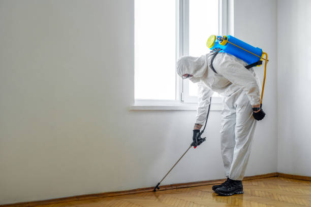  Trion, GA Pest Control Pros