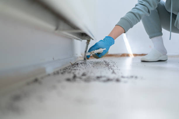 Flea Control Services in Trion, GA