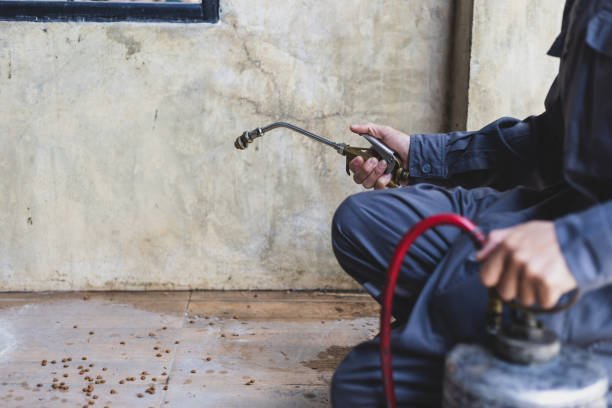 Best Pest Prevention Services  in Trion, GA